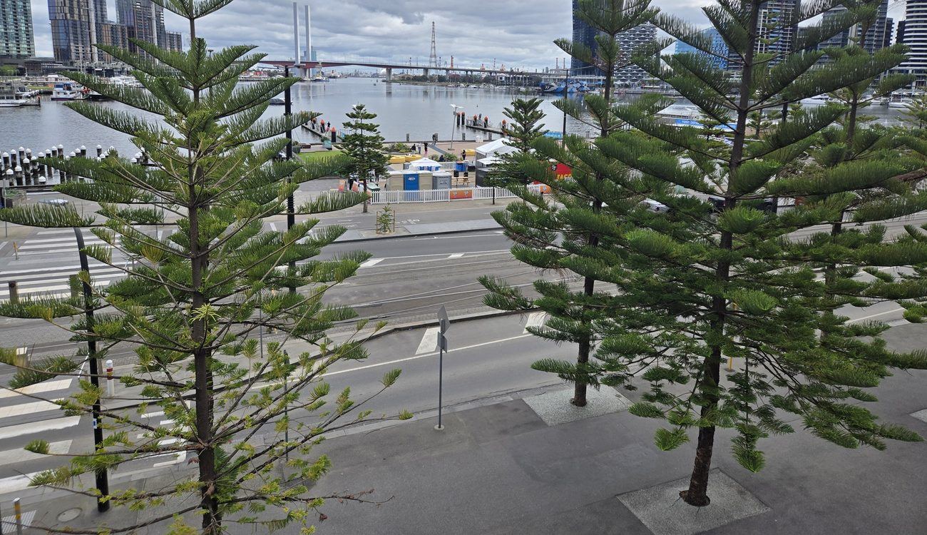 Wide empty road, tram tracks and paving on Harbour Esplanade, Docklands, with the harbour and the Bolte Bridge beyond.