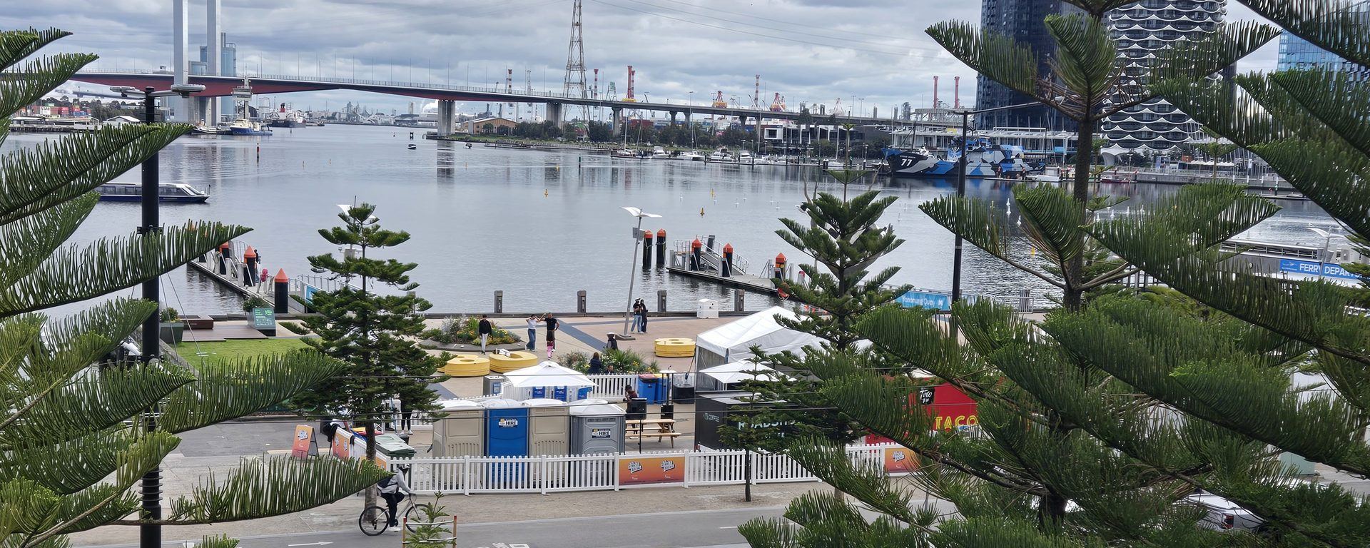 Victoria Harbour seen through the Norfolk pines on Harbour Esplanade: the Bolte Bridge, moored boats, the ferry berth and marquees on the promenade below.
